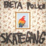 Skategang - freya police